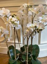 Large-White-Silk-Artificial-Orchid_2