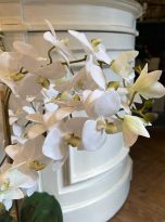 Large-White-Silk-Artificial-Orchid_3